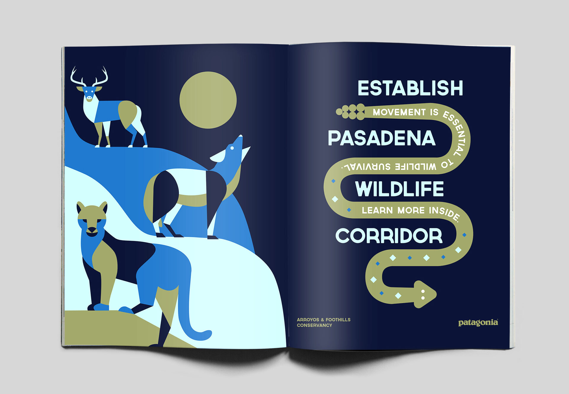 Patagonia – their adventure and design – Marisa Foster – Blog